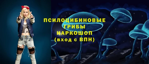 гидра Армянск