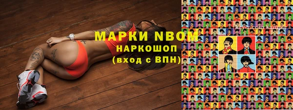трава Аркадак