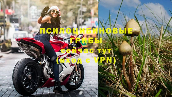 трава Аркадак