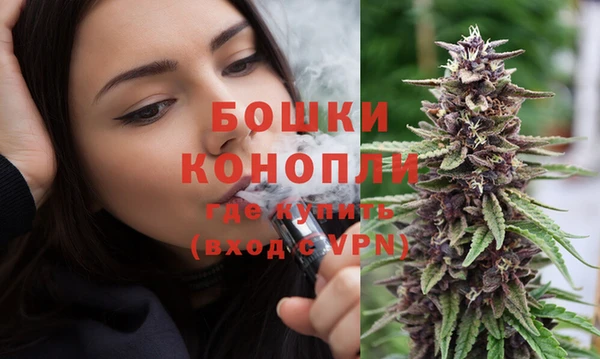 трава Аркадак
