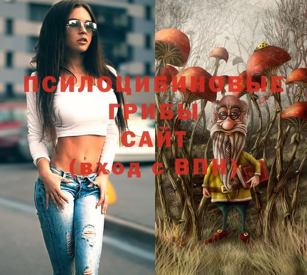 трава Аркадак