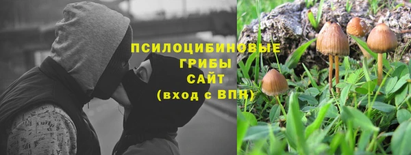 соль ск Арсеньев