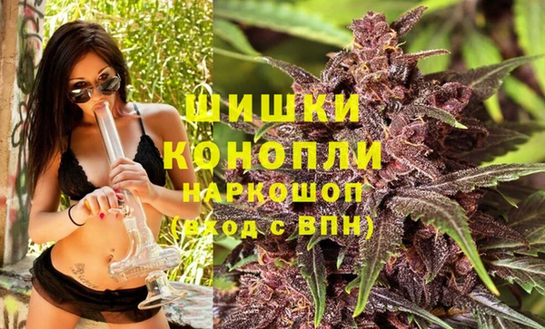 гидра Армянск