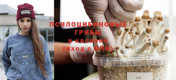 трава Аркадак
