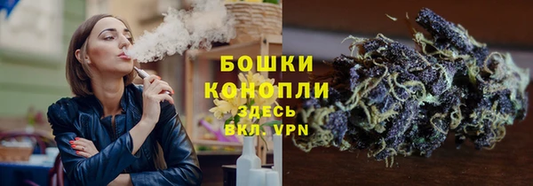 соль ск Арсеньев